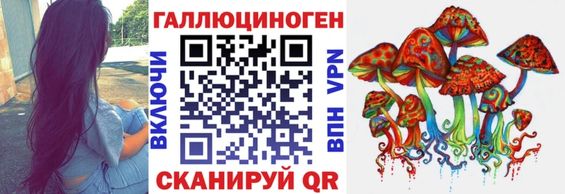 Псилоцибиновые грибы Cubensis  Купить где  Калининец 